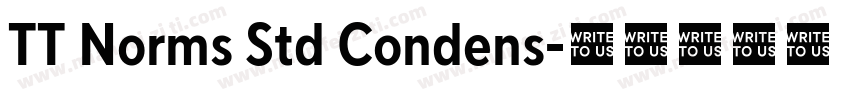 TT Norms Std Condens字体转换